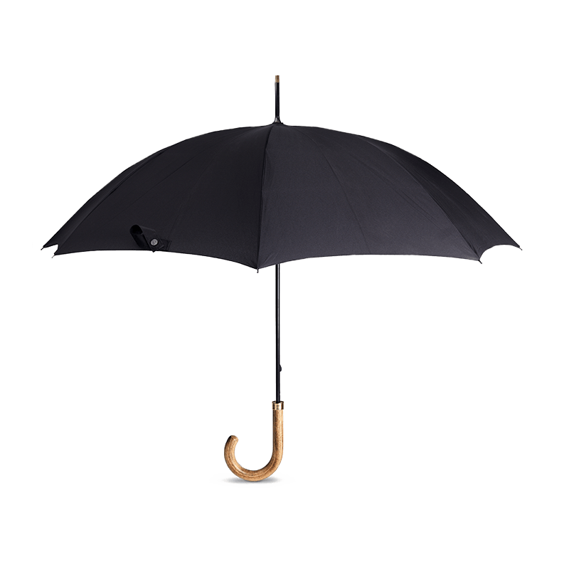 Black umbrella